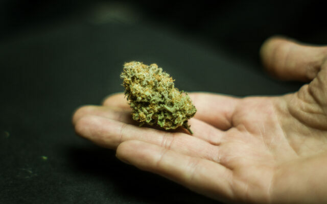 Walz Proposes Legalizing Marijuana In Supplemental Budget Plan