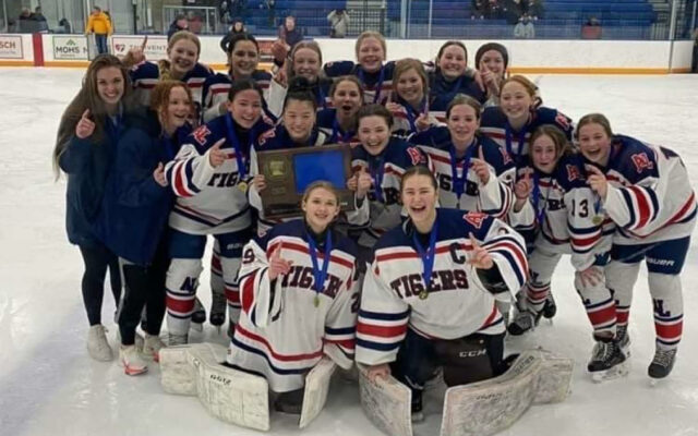 Albert Lea Girl’s Hockey wins Section Title and the rest of 2-17 Prep Scores