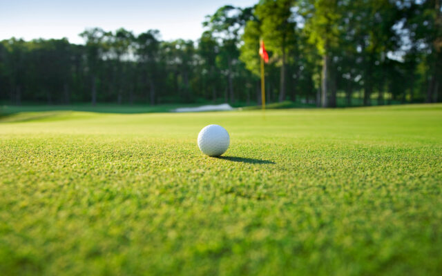 Alden Conger Boys and Girls Golf teams both pick up wins on Monday