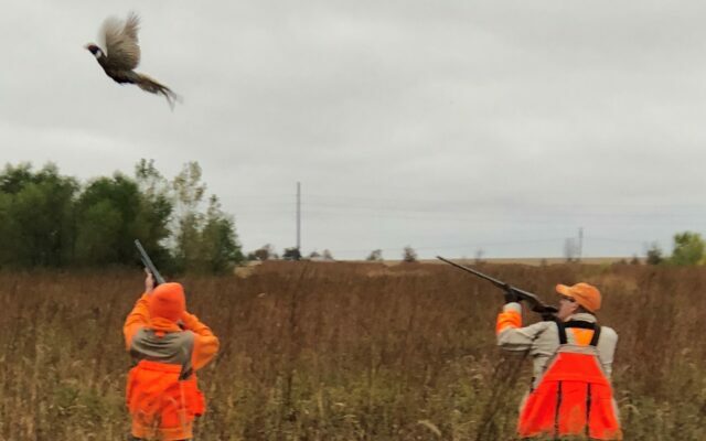 Worthington To Host 2022 Minnesota Governor’s Pheasant Hunting Opener