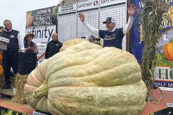 2,560-pound pumpkin wins California contest; sets record